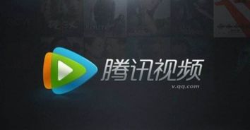 腾讯会员可以几个人用