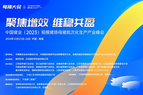 一夜涨五毛 11月17日猪价 集体腾飞 ,市场看涨情绪强烈